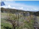 Lot 4 Off Millsvale Road, Fullerton NSW 2583