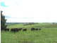 “Marathon” Wilcox Road, Laggan NSW 2583