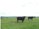 “Marathon” Wilcox Road, Laggan NSW 2583