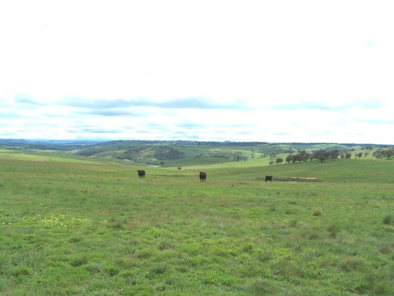 “Marathon” Wilcox Road, Laggan NSW 2583