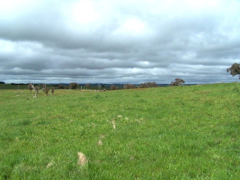 “Marathon” Wilcox Road, Laggan NSW 2583