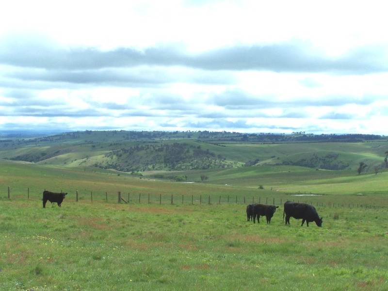 “Marathon” Wilcox Road, Laggan NSW 2583