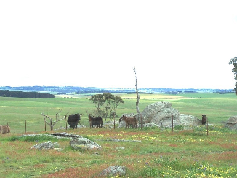 “Marathon” Wilcox Road, Laggan NSW 2583