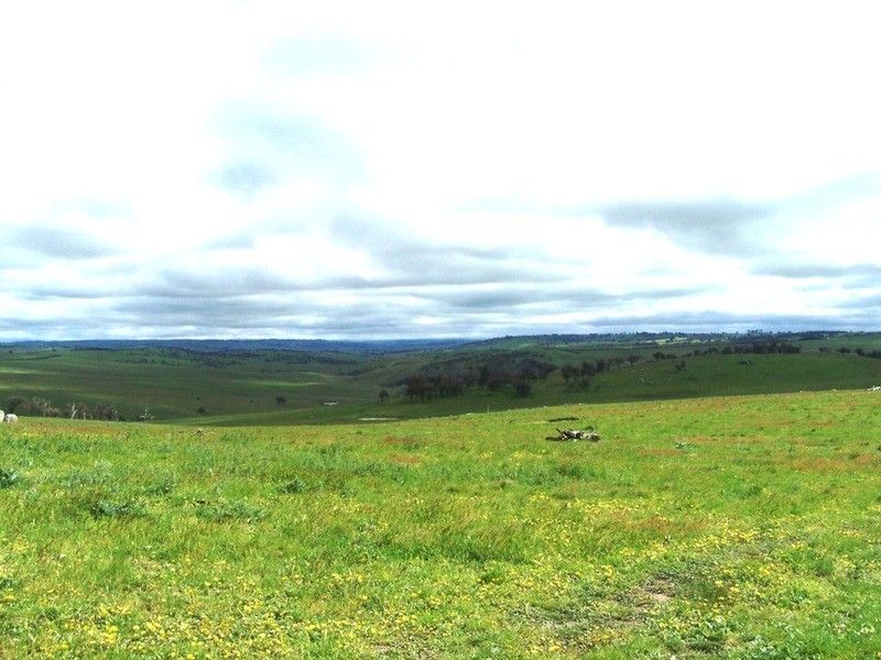 “Marathon” Wilcox Road, Laggan NSW 2583