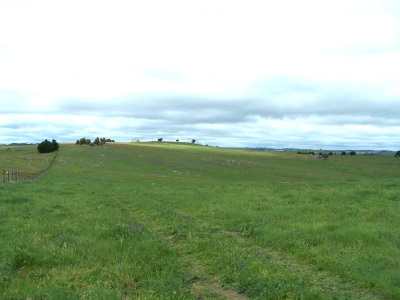 “Marathon” Wilcox Road, Laggan NSW 2583