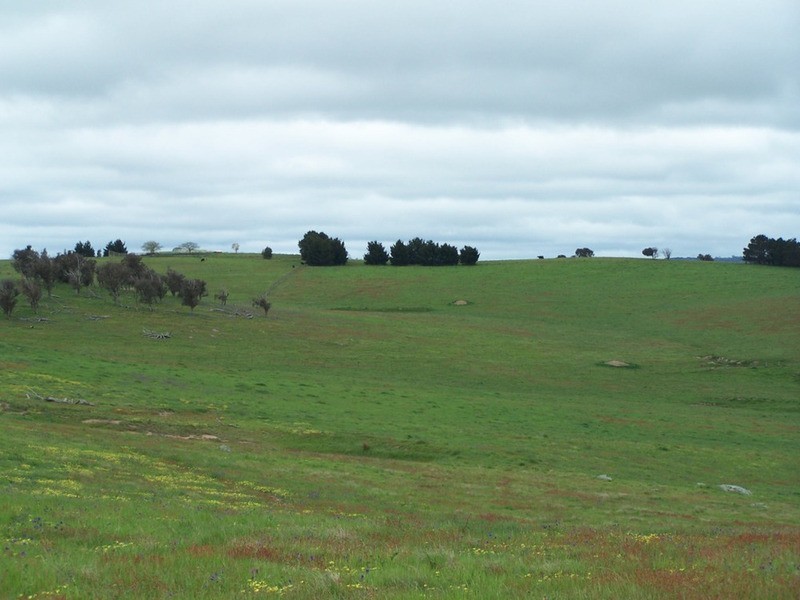 “Marathon” Wilcox Road, Laggan NSW 2583
