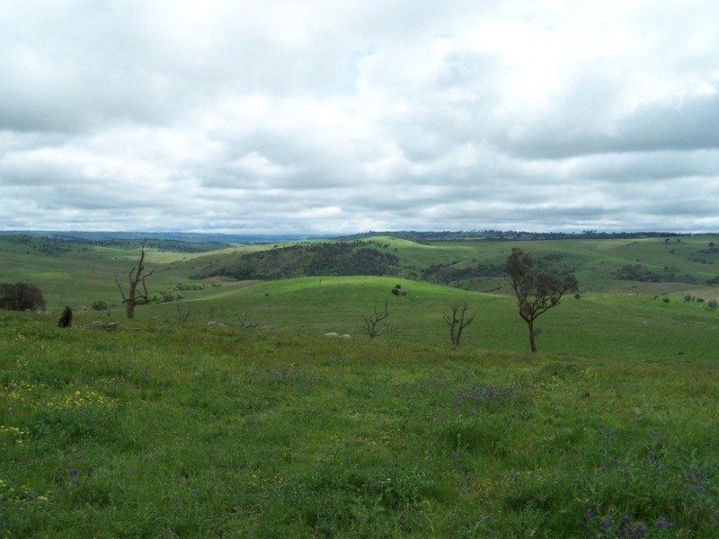 “Marathon” Wilcox Road, Laggan NSW 2583