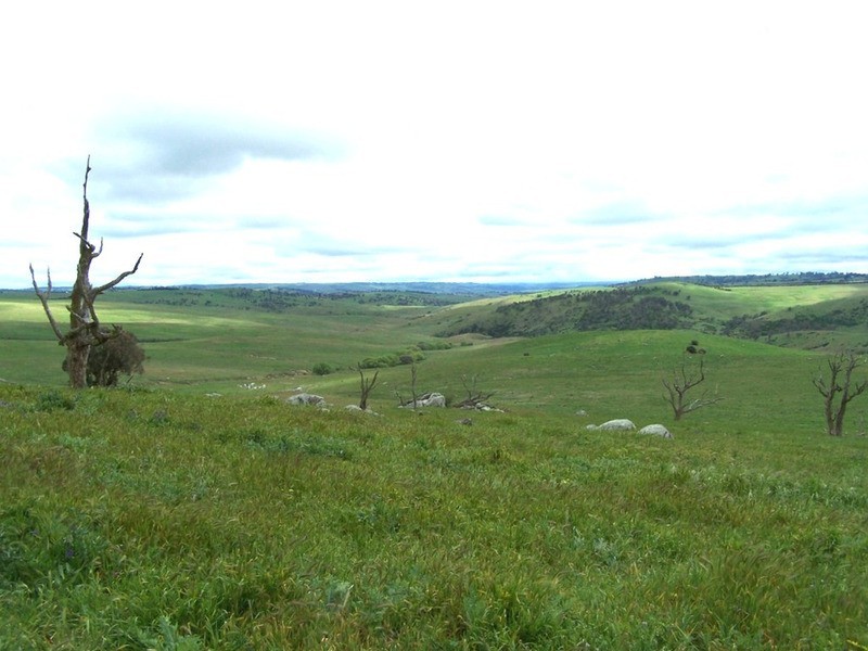 “Marathon” Wilcox Road, Laggan NSW 2583