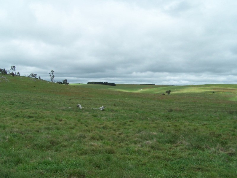 “Marathon” Wilcox Road, Laggan NSW 2583
