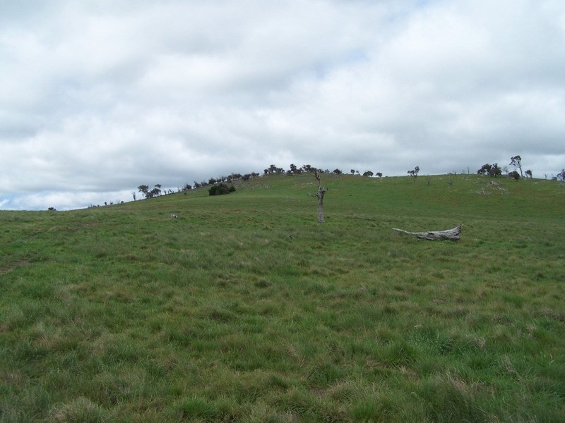 “Marathon” Wilcox Road, Laggan NSW 2583