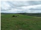 “Marathon” Wilcox Road, Laggan NSW 2583