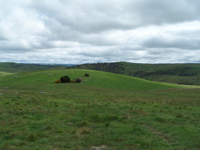 “Marathon” Wilcox Road, Laggan NSW 2583