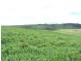 “Marathon” Wilcox Road, Laggan NSW 2583