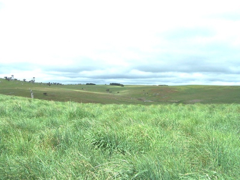 “Marathon” Wilcox Road, Laggan NSW 2583