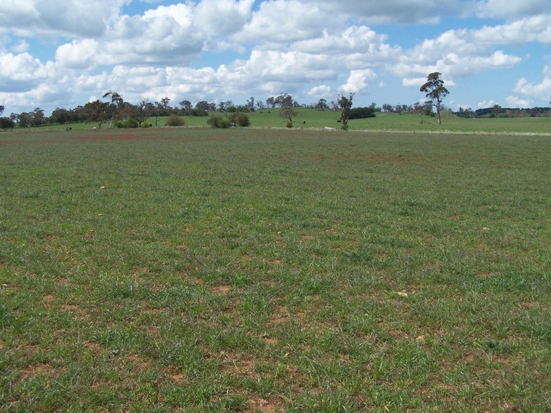 Lot 3 Cotta Walla Lane, Crookwell NSW 2583