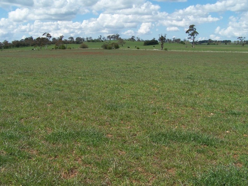 Lot 3 Cotta Walla Lane, Crookwell NSW 2583
