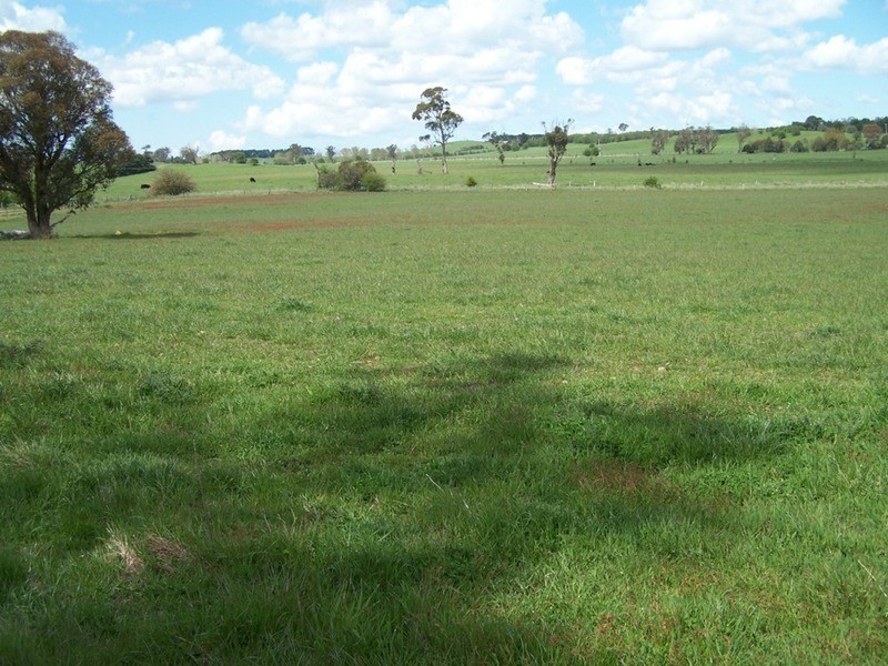 Lot 2 Cotta Walla Lane, Crookwell NSW 2583