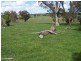 Lot 2 Cotta Walla Lane, Crookwell NSW 2583