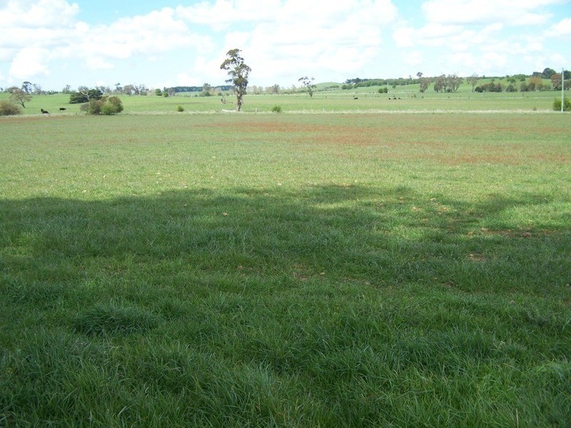 Lot 2 Cotta Walla Lane, Crookwell NSW 2583