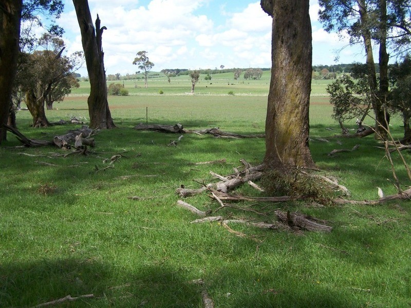 Lot 2 Cotta Walla Lane, Crookwell NSW 2583