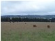 Lot 153 & 154 Gorham Lane, Crookwell NSW 2583