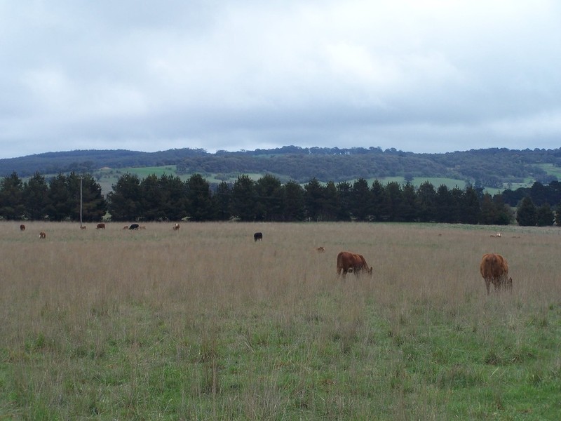 Lot 153 & 154 Gorham Lane, Crookwell NSW 2583