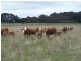 Lot 153 & 154 Gorham Lane, Crookwell NSW 2583