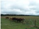 Lot 153 & 154 Gorham Lane, Crookwell NSW 2583
