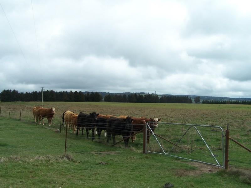 Lot 153 & 154 Gorham Lane, Crookwell NSW 2583