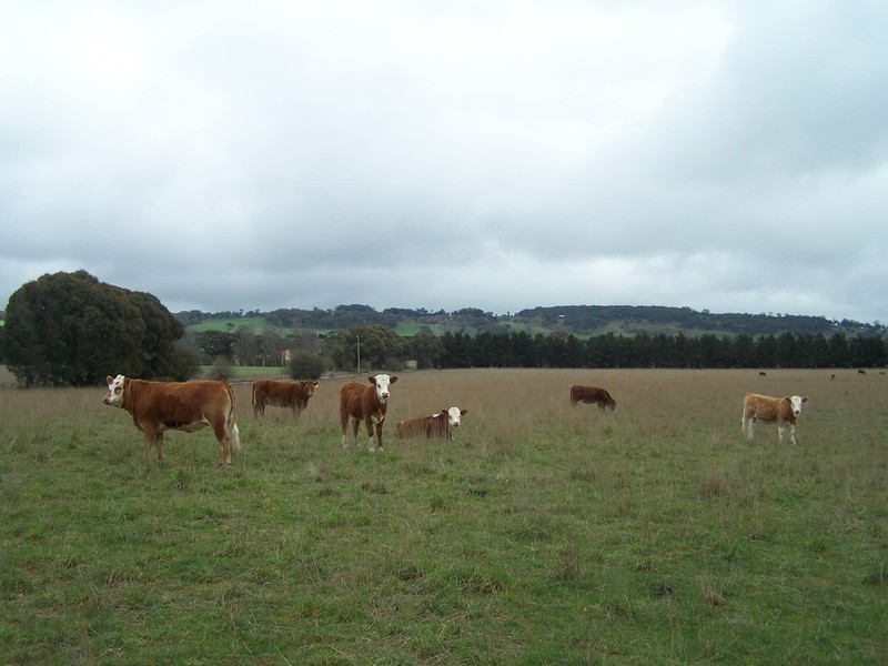 Lot 153 & 154 Gorham Lane, Crookwell NSW 2583
