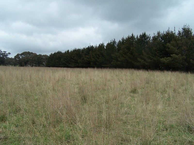 Lot 153 & 154 Gorham Lane, Crookwell NSW 2583