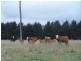 Lot 153 & 154 Gorham Lane, Crookwell NSW 2583
