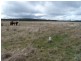 Lot 153 & 154 Gorham Lane, Crookwell NSW 2583