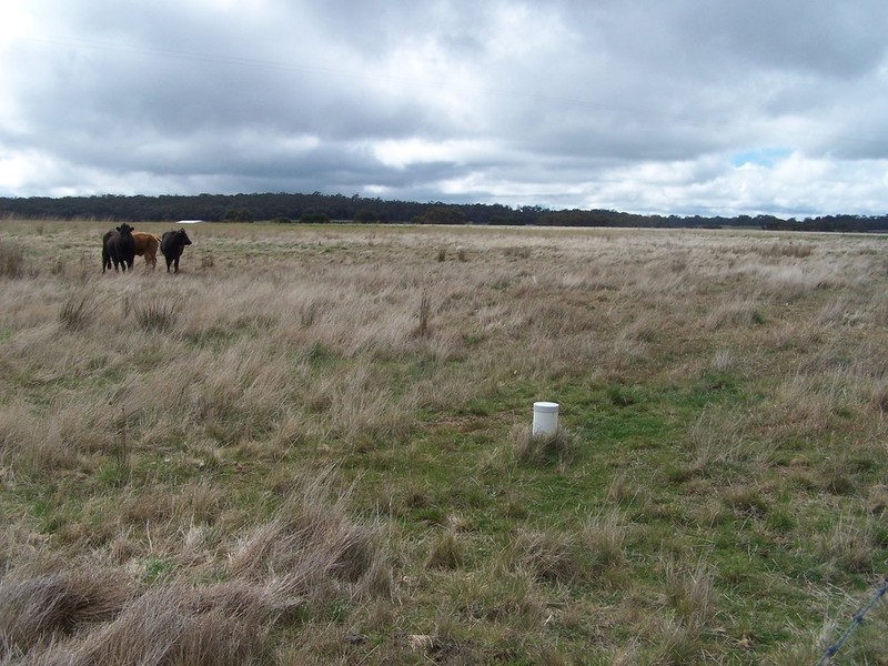 Lot 153 & 154 Gorham Lane, Crookwell NSW 2583