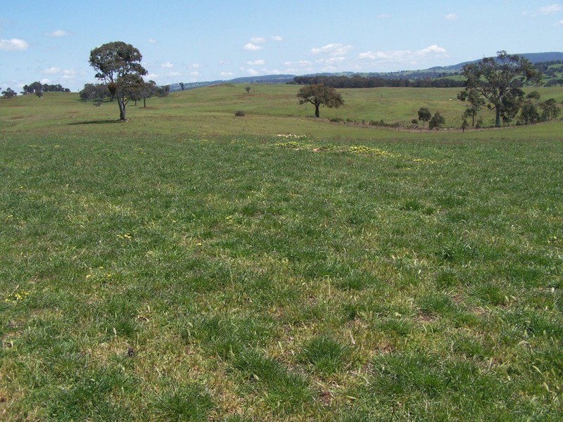 Lot 2 Karinya Road, Binda NSW 2583