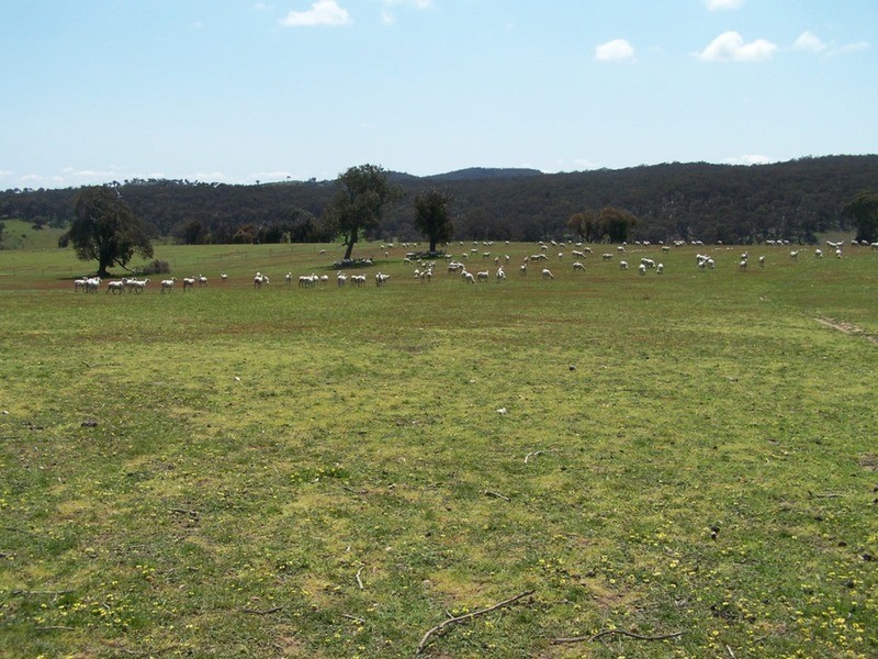 Lot 2 Karinya Road, Binda NSW 2583