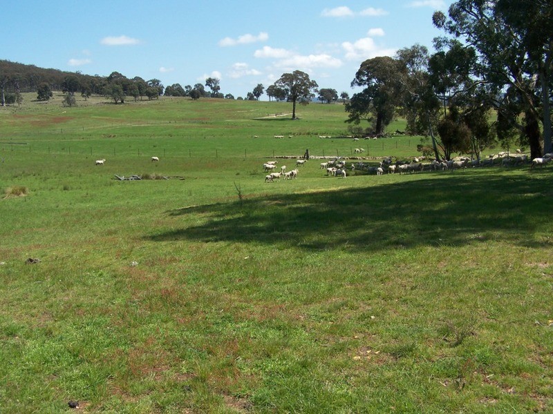 Lot 2 Karinya Road, Binda NSW 2583