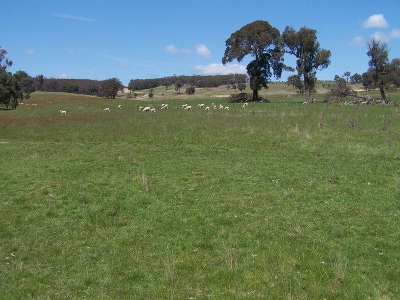 Lot 2 Karinya Road, Binda NSW 2583