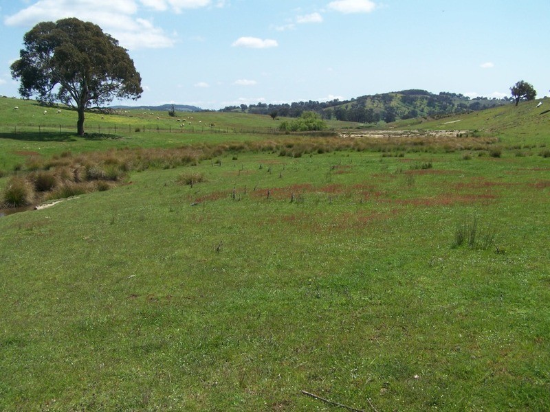 Lot 2 Karinya Road, Binda NSW 2583