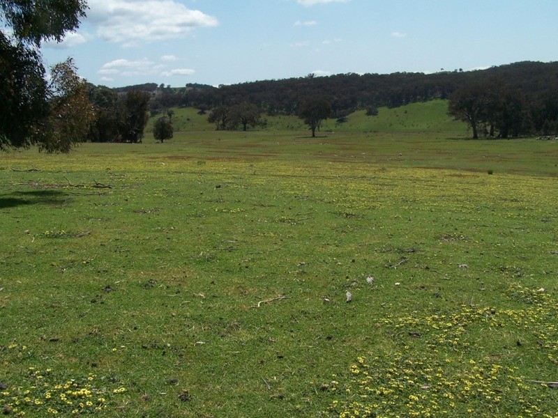 Lot 2 Karinya Road, Binda NSW 2583