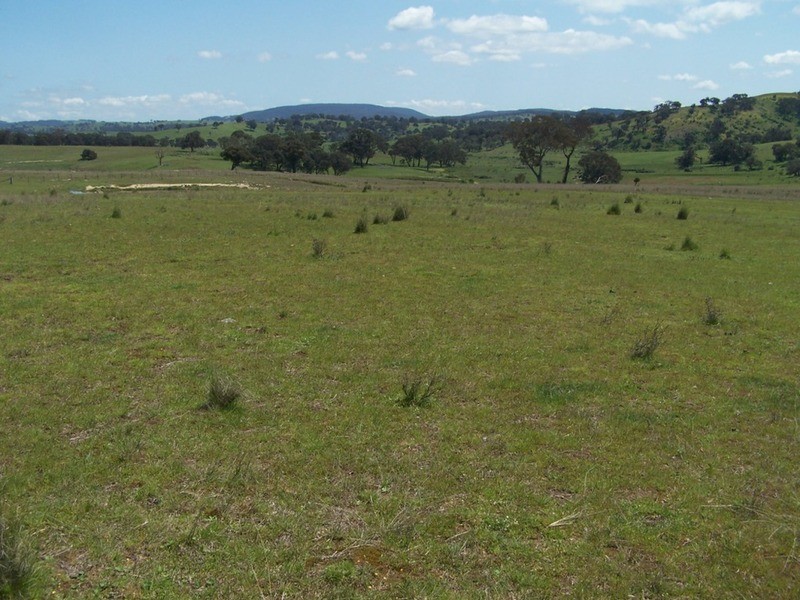 Lot 2 Karinya Road, Binda NSW 2583