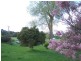 52 Court Street, Taralga NSW 2580
