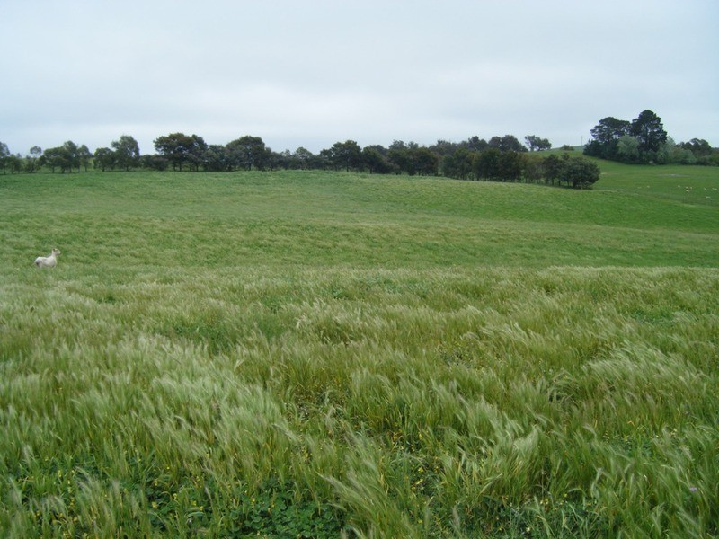 Lot 6 Pejar Road, Goulburn NSW 2580