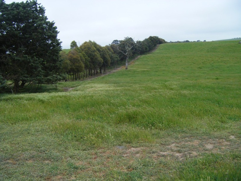 Lot 6 Pejar Road, Goulburn NSW 2580