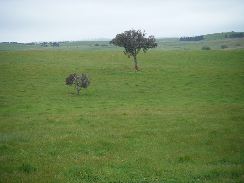 Lot 6 Pejar Road, Goulburn NSW 2580