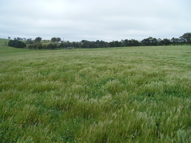 Lot 6 Pejar Road, Goulburn NSW 2580