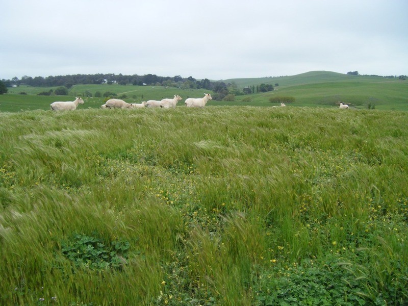 Lot 6 Pejar Road, Goulburn NSW 2580