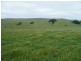 Lot 6 Pejar Road, Goulburn NSW 2580