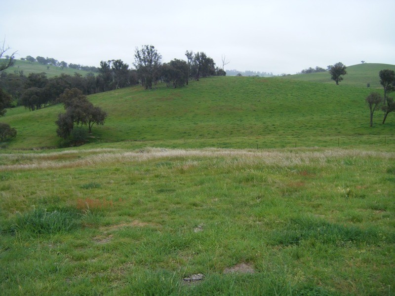 Lot 1 Pejar Road, Goulburn NSW 2580