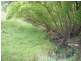 Lot 1 Pejar Road, Goulburn NSW 2580